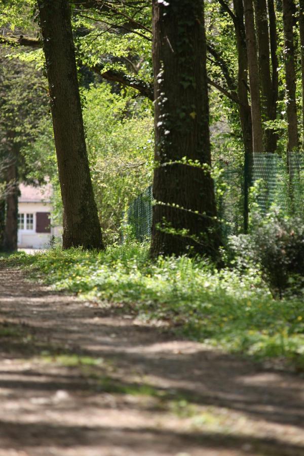 Fleurs De Brenne Gite Neuille-le-Lierre Luaran gambar