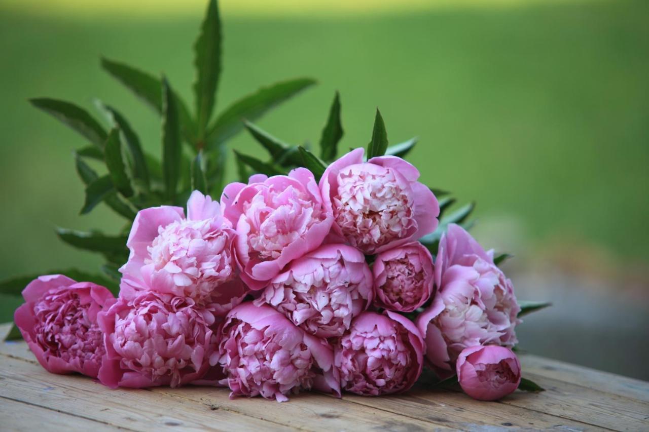 Fleurs De Brenne Gite Neuille-le-Lierre Luaran gambar