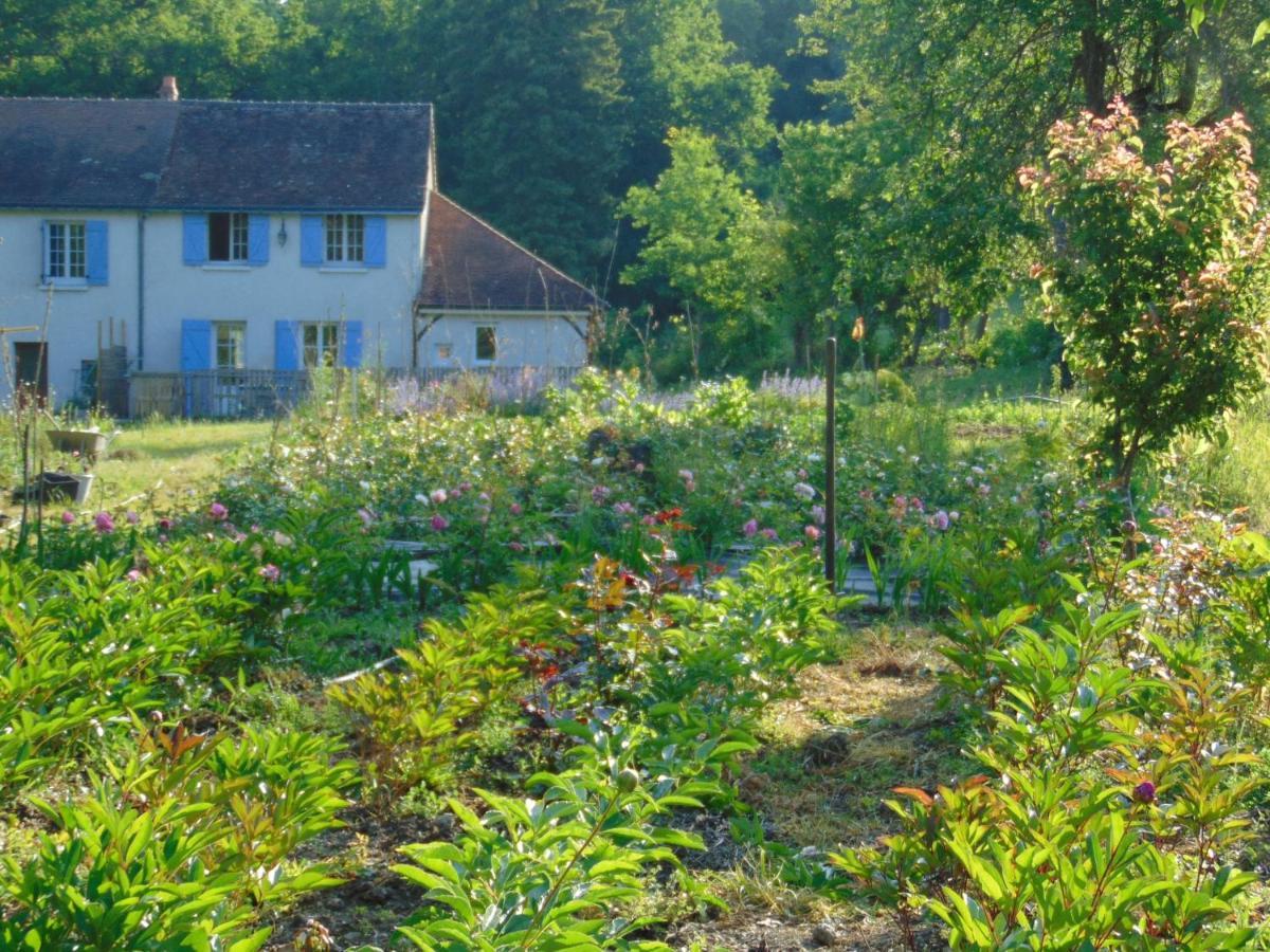 Fleurs De Brenne Gite Neuille-le-Lierre Luaran gambar